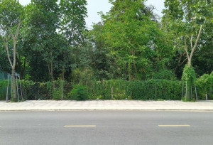 Đất mặt tiền đường Bình Nhâm 83, Thuận An, Bình Dương. DT: 5850m2. Giá: 94 tỷ.