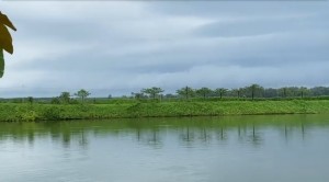 Bán Đất Phú Ngọc, Định Quán, Đồng Nai. DTSD: 10Ha. Giá: 35 Tỷ.