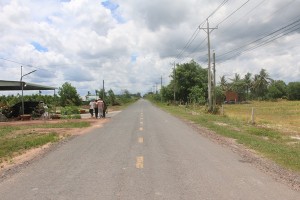 IMG 0464   1