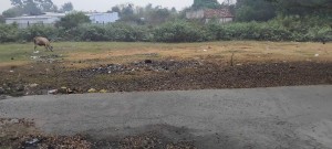 BÁN ĐẤT ĐƯỜNG ĐỨC HÒA THƯỢNG – ĐỨC HÒA – LONG AN