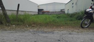 BÁN ĐẤT ĐƯỜNG ĐỨC HÒA THƯỢNG – ĐỨC HÒA – LONG AN (CŨ)